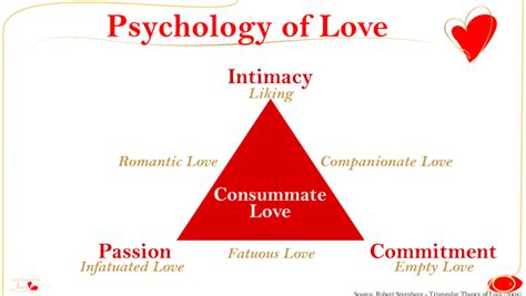 9 Love Theories In Psychology Which Love Theory Describes Love The Best