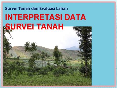 Survei Tanah Dan Evaluasi Lahan INTERPRETASI DATA SURVEI