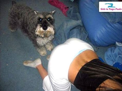 She Likes It Doggystyle Hot Girls In Yoga Pants Best