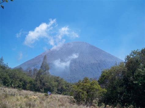 Gunung semeru merupakan gunung tertinggi di pulau jawa dan masuk dalam jajaran 7 summit indonesia. Estimasi Pendakian Gunung Semeru Terbaru - PecintaAlamdotNet