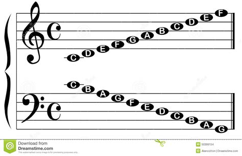 Bassists are mainly concerned with reading in bass clef. Music Note Names Stock Illustration - Image: 50399154