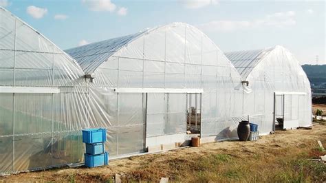 Agriculture Used Japan Po Film Greenhouse For Sale Buy Film