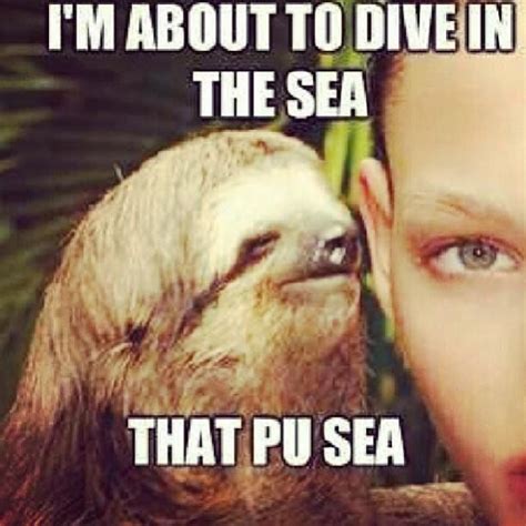 121 Best Images About Naughty Sloth On Pinterest
