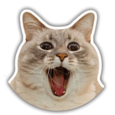 Create Meme Cats Head Sticker Seals 512x512 Cat 512x512 Pictures