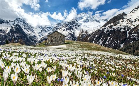Spring Alps Wallpapers Wallpaper Cave
