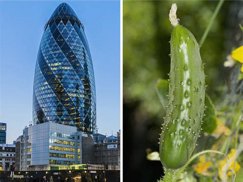 10 Nature Inspired Architectural Masterpieces