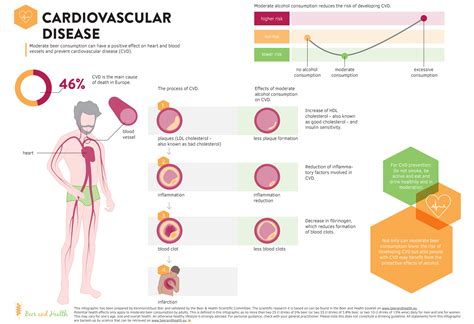Infographic Cardiovascular Disease Beer And Health
