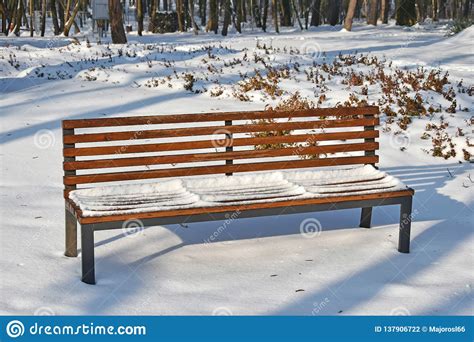 Park Bench In The Woods Winter Time Stock Photo Image Of Light
