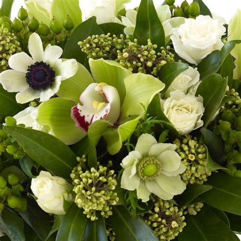 Busy bees returning with honey and pollen in apiary in the springtime. Sympathy Flowers at Busy Bee Florist