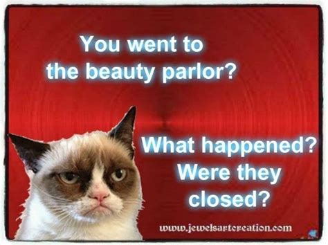 14 Hilarious Grumpy Cat Memes That Will Make You Smile With Images Grumpy Cat Humor Grumpy