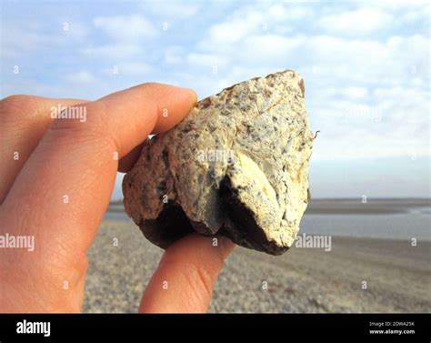 Close Up Of Hand Holding Rock Stock Photo Alamy