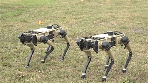 Tyndall Air Force Base To Begin Using Robot Dogs To Patrol Its Base