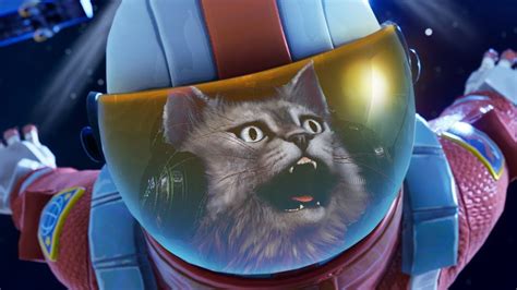 Space Cat Fortnite Youtube