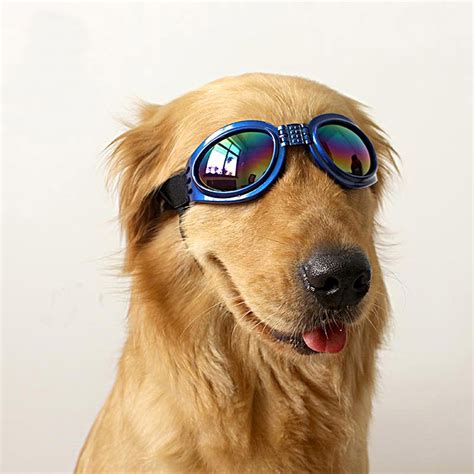 Pet Dog Adjustable Uv Sunglasses Blue Eye Wear Costume Foldable Sun