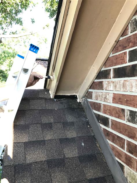 critter-control-houston-exclusion-cleanup-Brad-PC | Pest | Critter