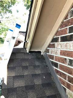 Uncover The Secrets Critter Control Jobs That Pay Top Dollar