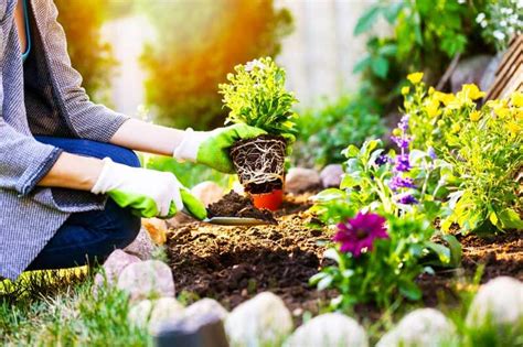 How To Plant A Garden Cedarcrest Gardens