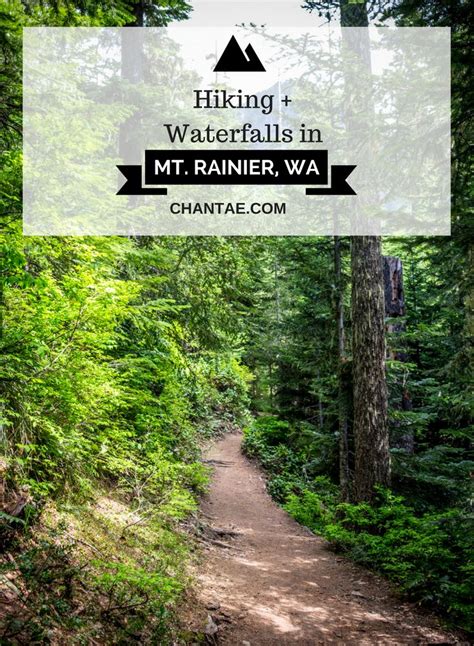 Hiking Through Waterfalls In Mt Rainier Washingtons Famous National