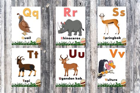 Animal Alphabet Flashcards Jungle Wild Zoo Animals Kids Etsy Uk