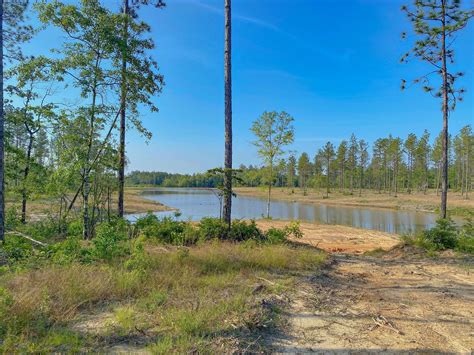 176 acres in Pearl River County, Mississippi