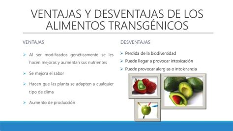 Ventajas Y Desventajas De Los Alimentos Transgenicos Cuadro Comparativo Sexiz Pix