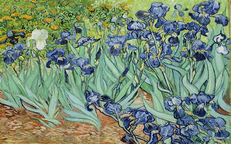 Vincent Van Gogh Art Wallpaper