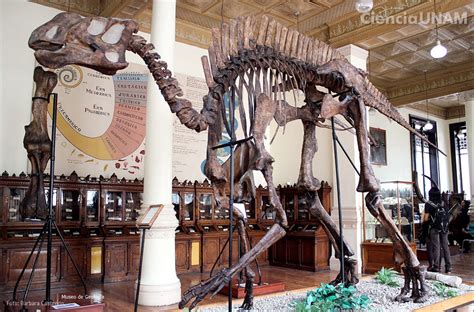 Día internacional de los museos. ¡Hoy es el Día Internacional de los Museos! - Ciencia UNAM