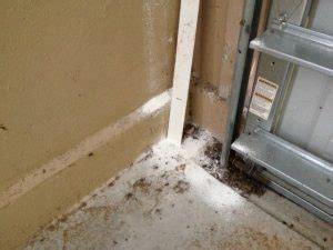 Bug depot | do your own pest control and lawn care with the same products that exterminators use. Boric Acid And Borax Are Killing You-The Safe Way | Pest ...