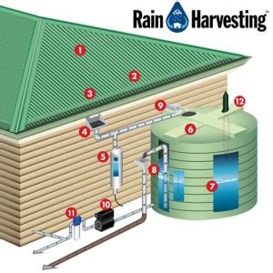 Highlights of my small cabin water supply system: How to Harvest Rainwater - LawnEQ Blog