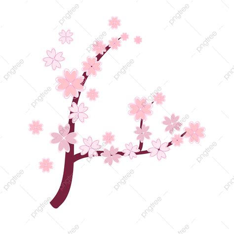 Gambar Pink Cherry Blossoms Flowers 14 Alam Semula Jadi Bunga Musim