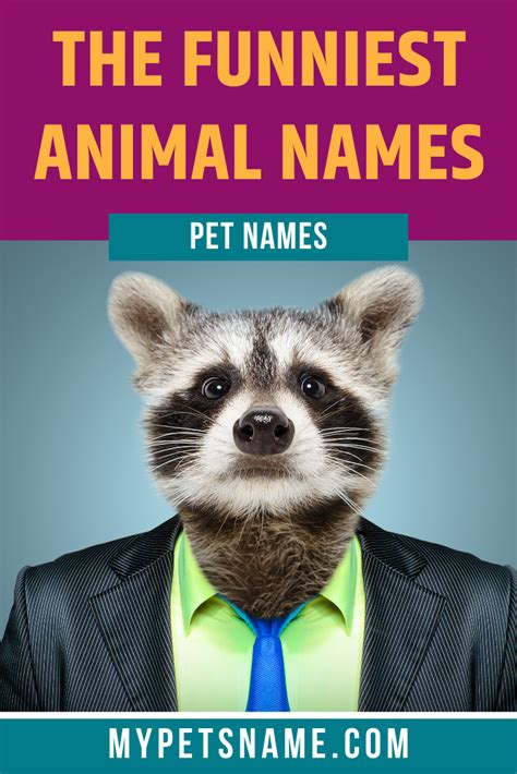 Funny Animal Names 120 Hilarious Side Splitting Unbelievable Names