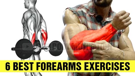 6 Forearm Exercises You Should Be Doing Cable Arm Workout