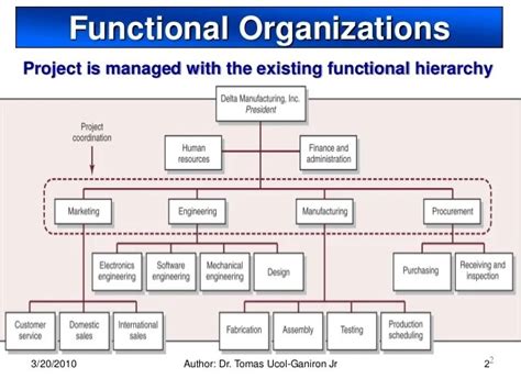 Functional Organization The Advantages And The Disadvantages