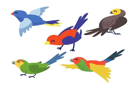 22 Páginas Para Colorear Pájaros Páginas Para Colorear Etsy