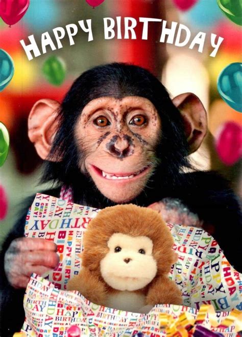 Cute Chimp Happy Birthday Greeting Card Cards Love Kates