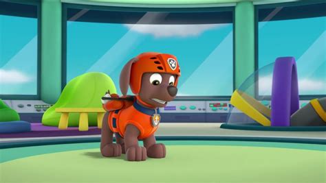 Zuma In Season 3 Paw Patrol Photo 40150993 Fanpop Page 20