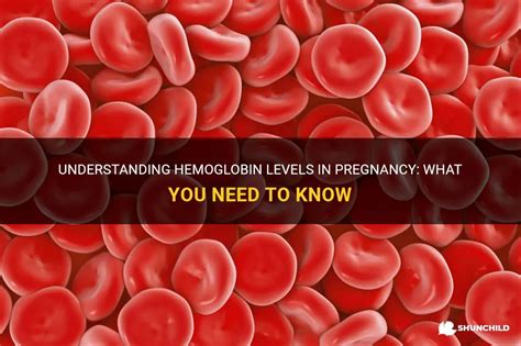 Understanding Hemoglobin Levels In Pregnancy What You Need To Know