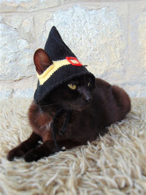 Witch Hat For Cat Pet Costume Cat Halloween Costume Pet Etsy