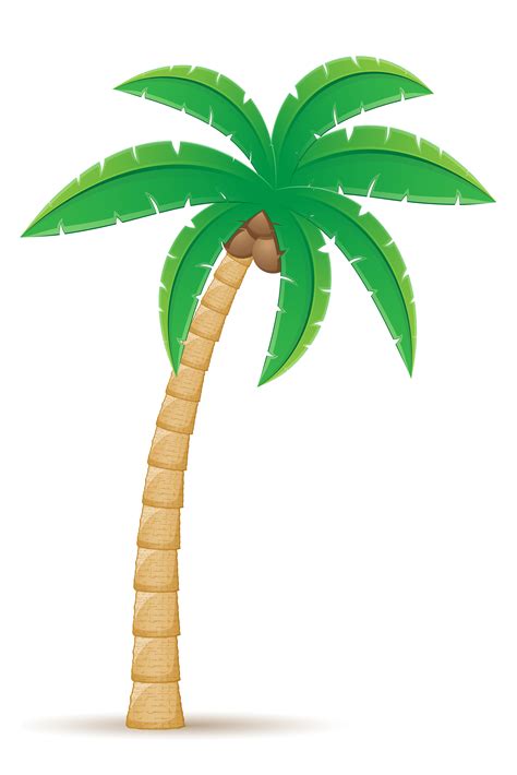 Palm Tropical Tree Vector Illustration Vector Art At Vecteezy