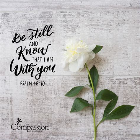 37 Encouraging Bible Verses To Inspire You Compassion Uk