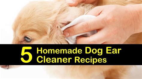 This is important because otherwise there can be dizziness. 5 Homemade Dog Ear Cleaner Recipes