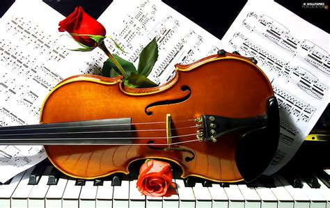 The most common method for beginners is to find the desired pitches on a piano, tuning fork, pitch pipe, or other source, and to adjust the pitch of the strings to. violin, Tunes, roses, Piano - For desktop wallpapers ...