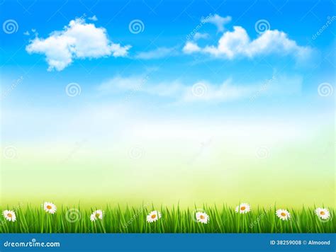 Summer Nature Background With Green Grass And Sky Stock Vector