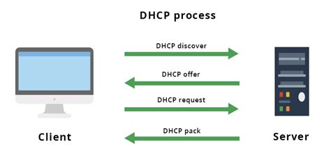 Servidor Dhcp Introducción Al Protocolo De Configuración Dinámica De