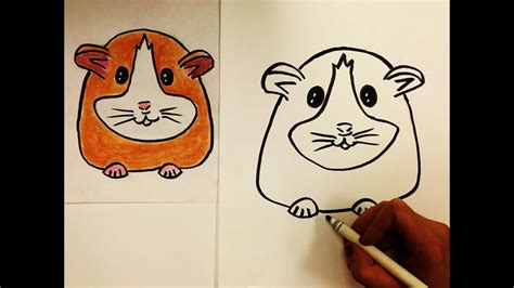 How To Draw A Hamster For Kids Easy Drawings Cute Cartoon Drawings