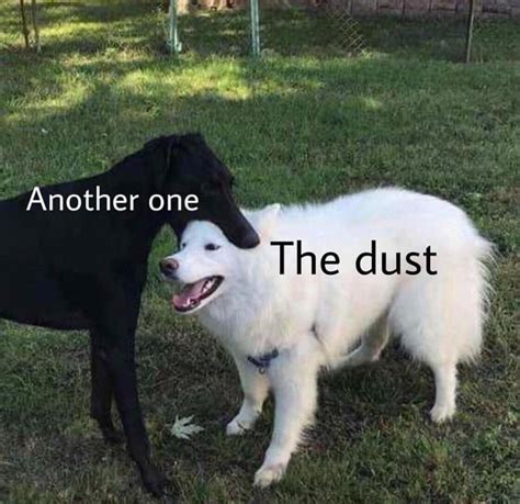 Another one gone and another one gone, and another one bites the dust! | Funny memes sarcastic 