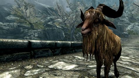 The Goat Wins Skyrim Gameplay Highlights Shorts YouTube