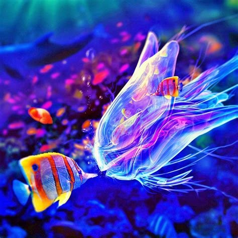 Neon Fish Wallpapers Top Free Neon Fish Backgrounds Wallpaperaccess