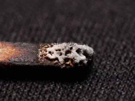 Burned Match Closeup Free Photo Download Freeimages