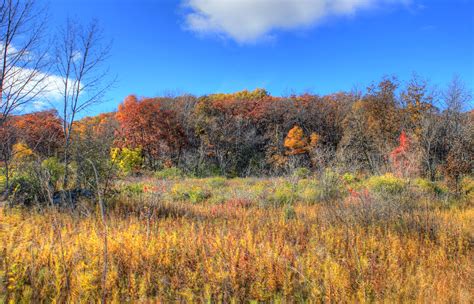 Autumn Hills And Plants In Blue Mound State Park Wisconsin Image